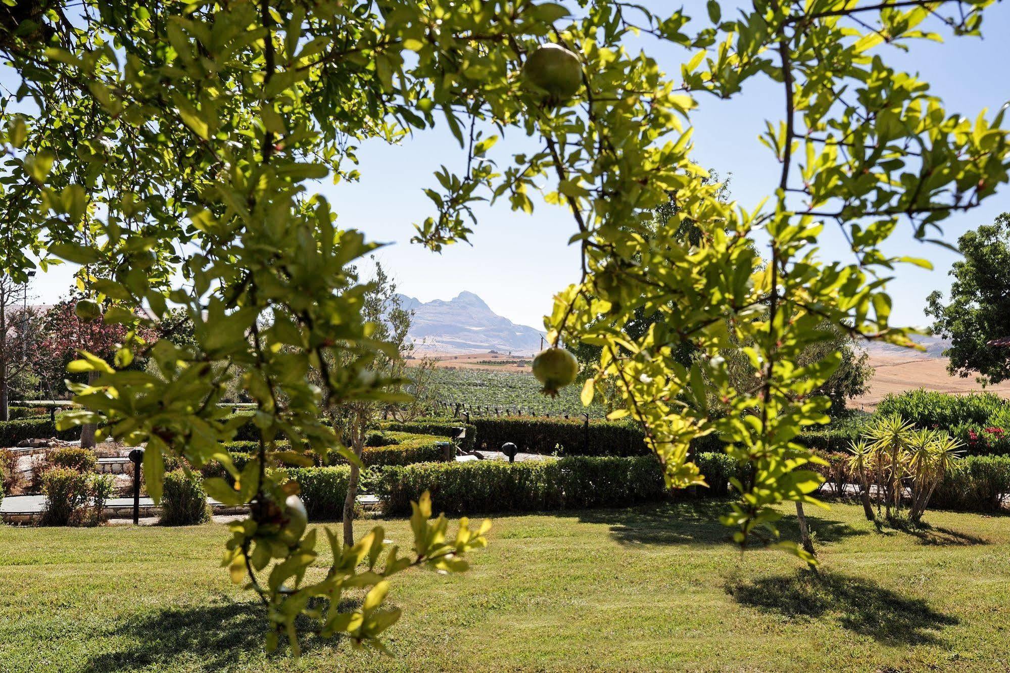 Roccamena Agriturismo Tenute Pollara מראה חיצוני תמונה
